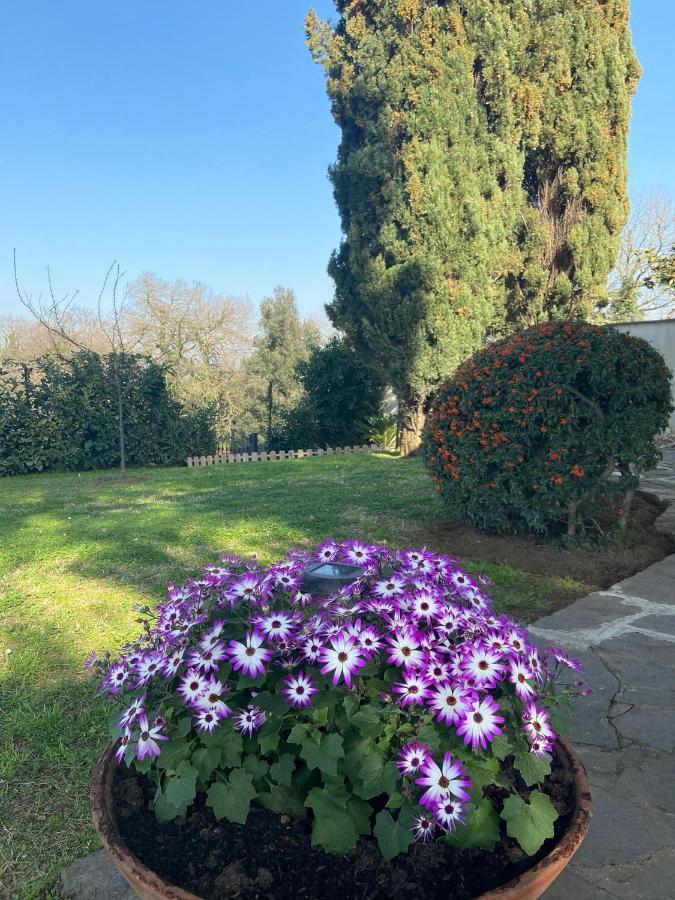 Villa Del Rubbio Roma Eksteriør bilde